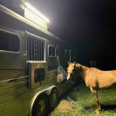 Horse Trailer Light - Twin Pack 20,000 Lumens